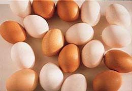 減肥：1周減5kg 美味雞蛋瘦身法